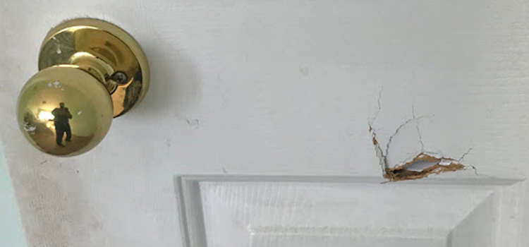 interior door hole repair Solana Beach